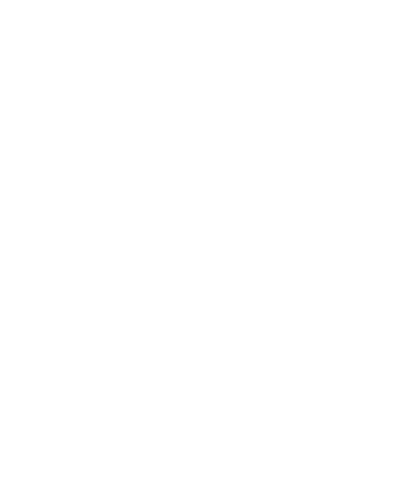 Zmey logo